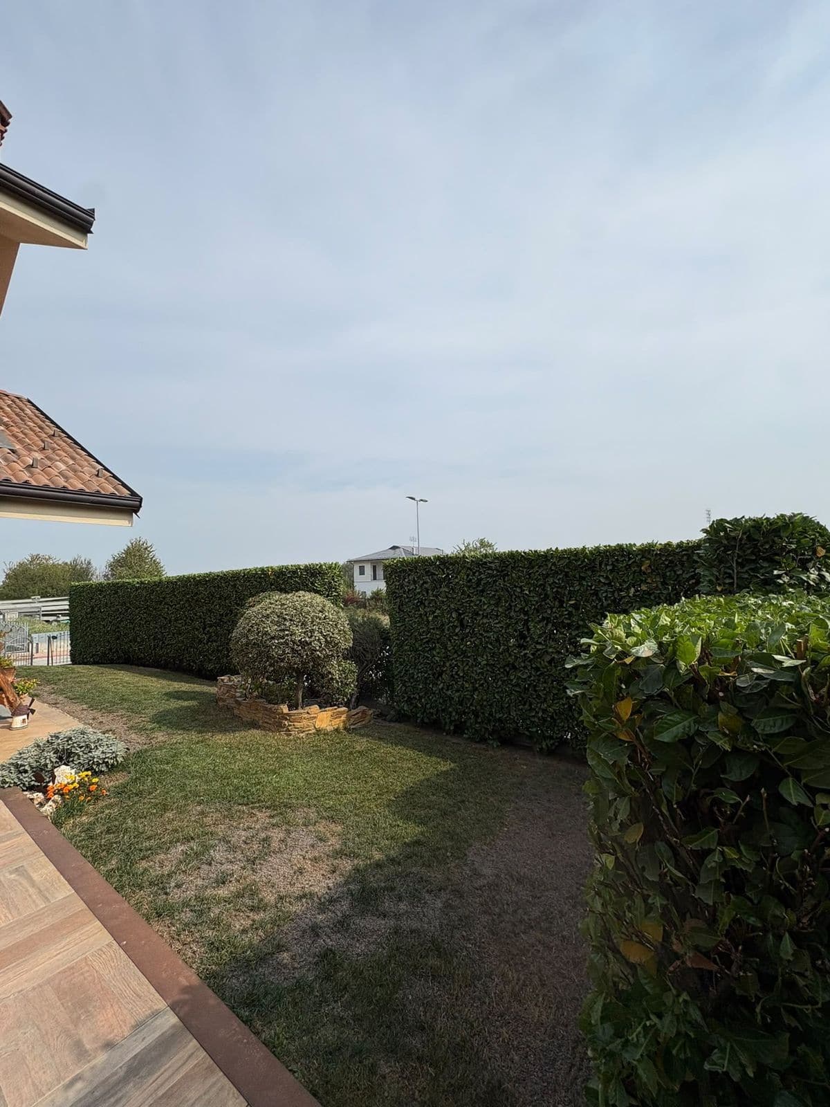 Siepi di lauro rifilate e prato davanti a una casa