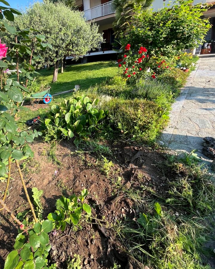 Prima: aiuola lungo il vialetto in pietra invasa da erbe spontanee, con terreno scoperto